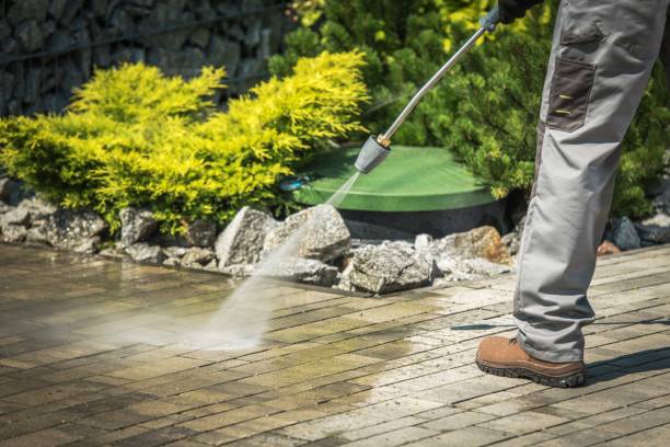 Best Dumpster Area Cleaning  in Flower Hill, NY