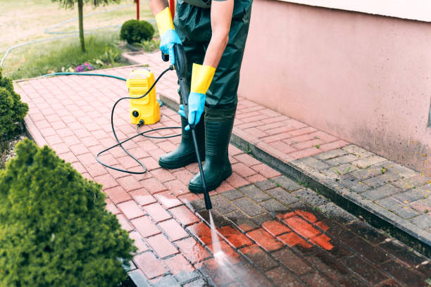 Best Building Exterior Washing  in Flower Hill, NY